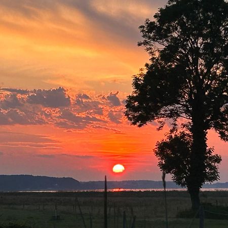Mein-Ostseeplaetzchen Niesgrau Exteriör bild