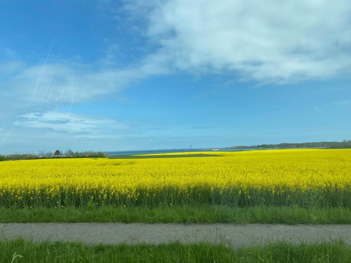 Mein-Ostseeplaetzchen Niesgrau Exteriör bild
