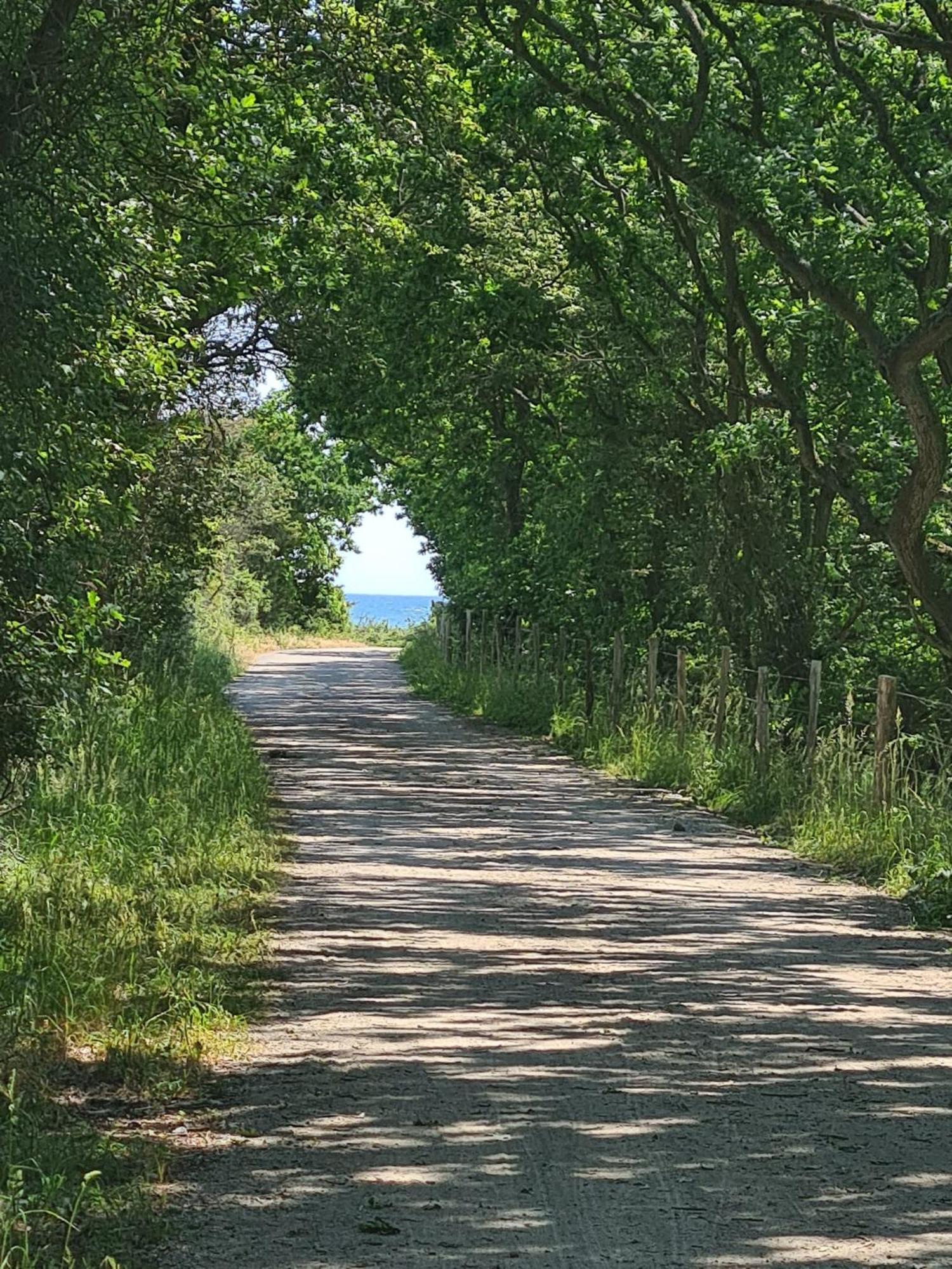 Mein-Ostseeplaetzchen Niesgrau Exteriör bild